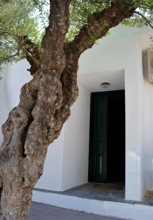הוילה Kalo Chorio  Regina מראה חיצוני תמונה